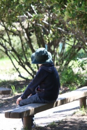 5. Solitude and reflection